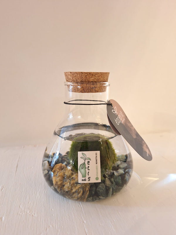 MARIMO